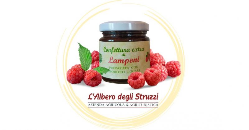 Occasione Confettura di Lamponi artigianale 200 gr vendita online Italia